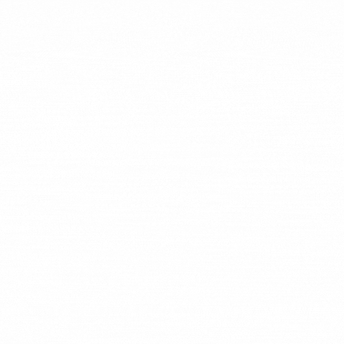 Animación Logo RauDie